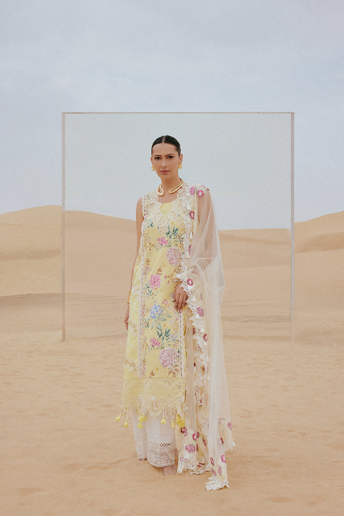 background-image-collaction