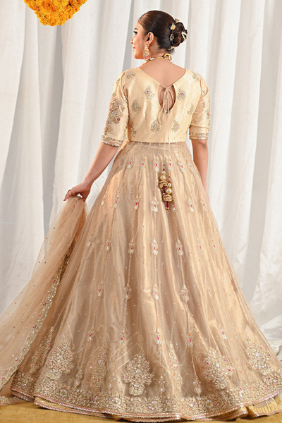 MARIGOLD and GOTA'24- RANIA (FULL SET)