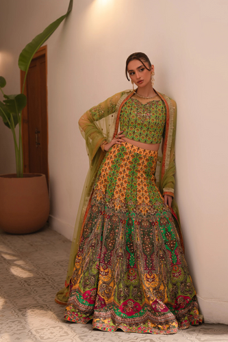 AMMARA KHAN RONAQ'25- Multi Kali Lehnga Choli (D-06)