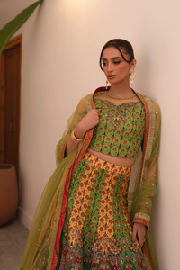 AMMARA KHAN RONAQ'25- Multi Kali Lehnga Choli (D-06)