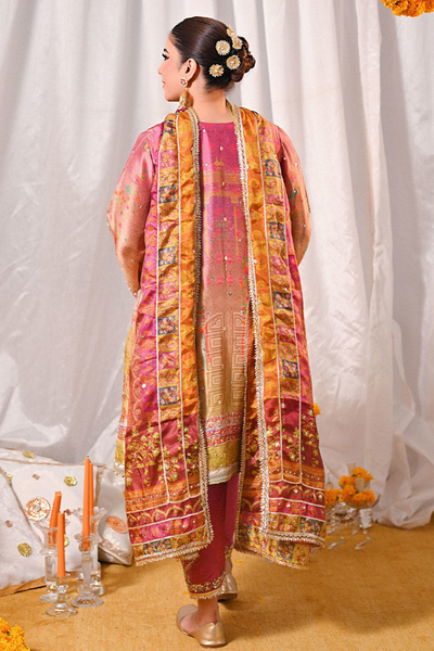 MARIGOLD and GOTA'24- MOMAL (FULL SET)