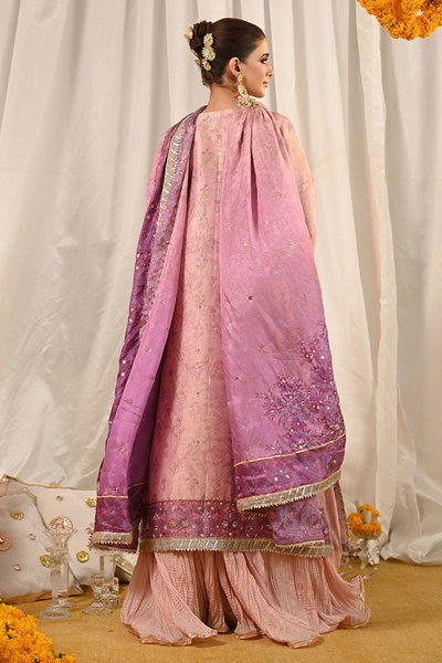 MARIGOLD and GOTA'24- MOMINA (FULL SET)