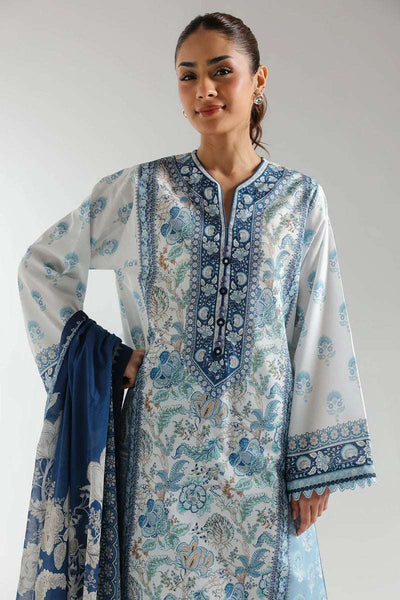 Ethnc
Unstitched Rozana'25 - E0665/202/604