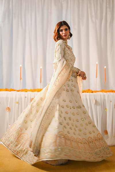 MARIGOLD and GOTA'24- ASHAL (FULL SET)