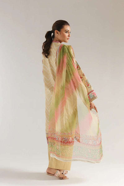 Ethnc
Unstitched Rozana'25 - E0574/203/114