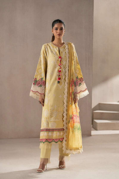 Ethnc
Unstitched Rozana'25 - E0518/203/110