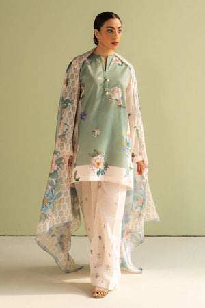 COCOBYZARASHAHJAHAN

SOFIA-2A