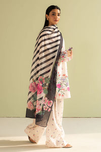 COCOBYZARASHAHJAHAN

REENA-4B