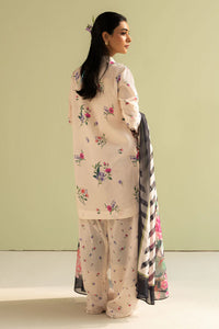 COCOBYZARASHAHJAHAN

REENA-4B