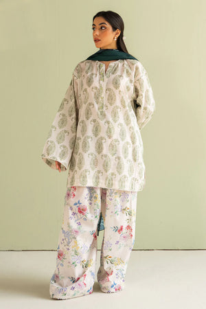 COCOBYZARASHAHJAHAN

PAISLEY-6B