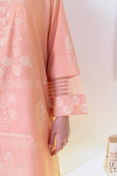 Staycation '25 - PEACHY PINK LUXURY EMBROIDERED 2PCS SET (NPA2-25306)