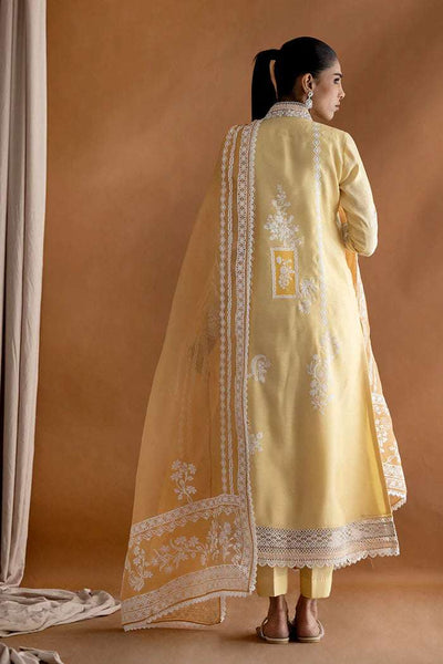 Nida Azwer
Summer Basics'25- Amber Luxe