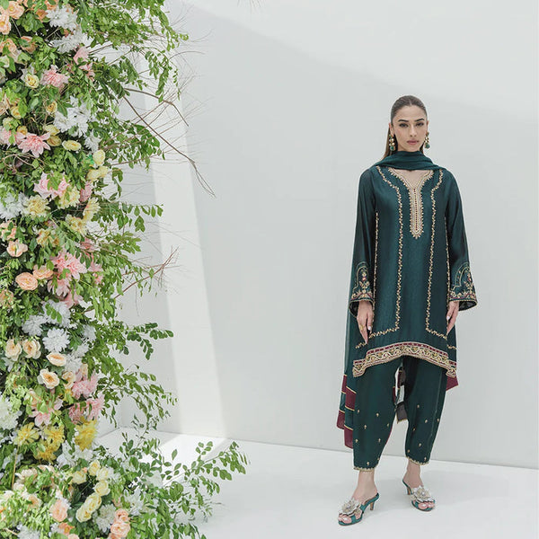 Occasion Wear '25 - ZIVA FULL SET