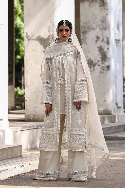 Ankh Macholi Festive '25 - Fida