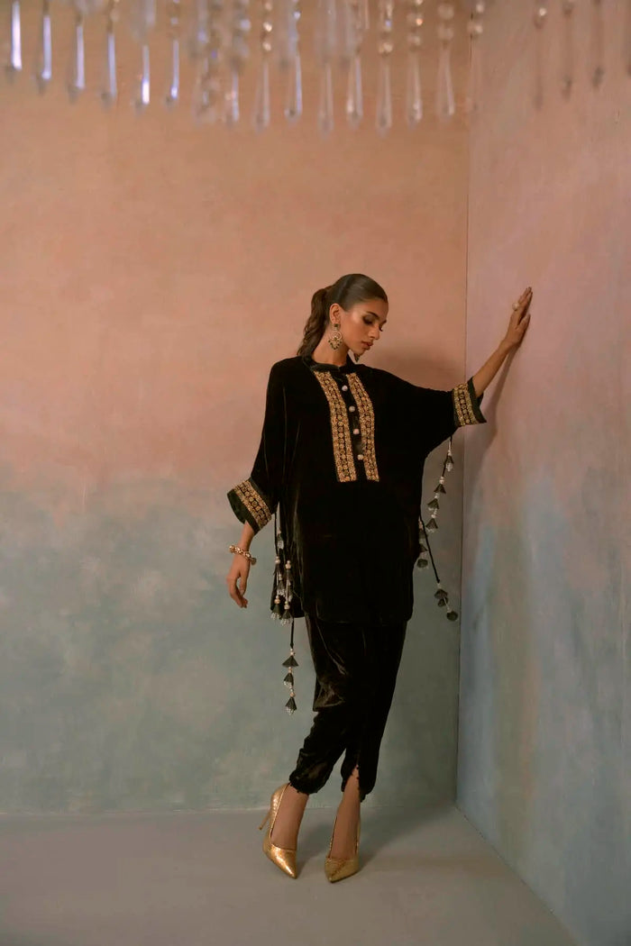 Velvet '25 - Midnight velvet - second image