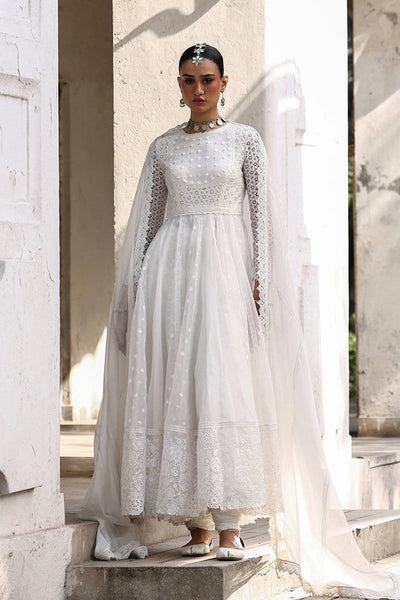 Ankh Macholi Festive '25 - Rumi