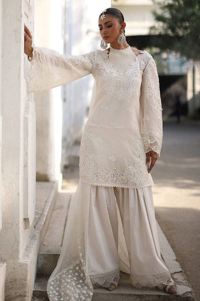 Ankh Macholi Festive '25 - Fanaa