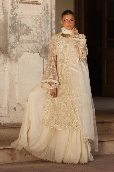 Ankh Macholi Festive '25 - Rua