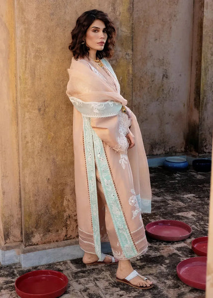 Mitti Winter '25 - Nawabi Notes