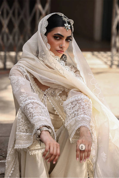 Ankh Macholi Festive '25 - Fida