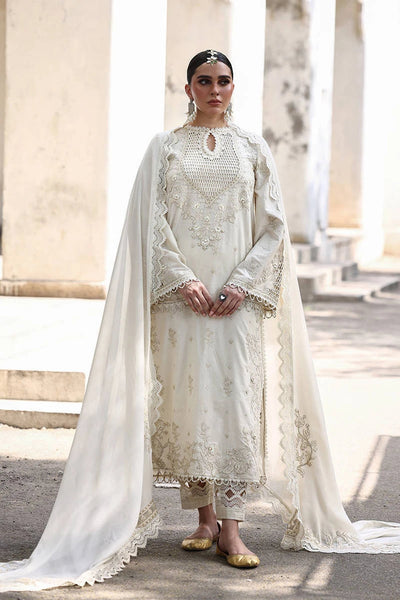 Ankh Macholi Festive '25 - Gulraiz