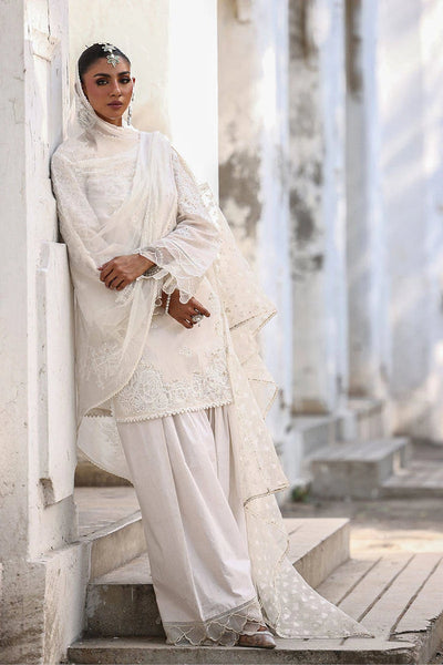 Ankh Macholi Festive '25 - Fanaa