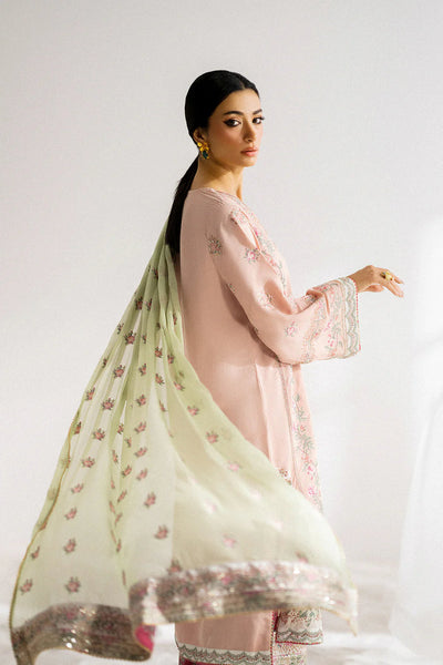 Boutique '25 - EMBROIDERED SUIT - E0809/104/426