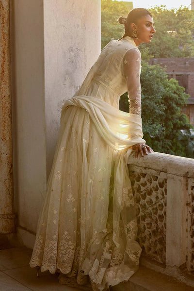 Ankh Macholi Festive '25 - Khush Ruba