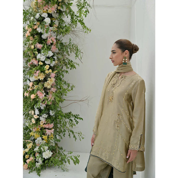 Occasion Wear '25 - AMIRA FULL SET