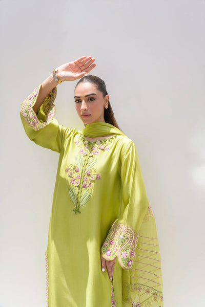 Stelle Eid Edit II'25- Avocado