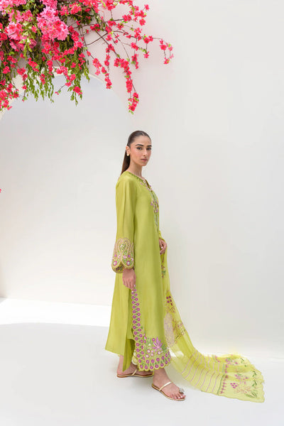 Stelle Eid Edit II'25- Avocado