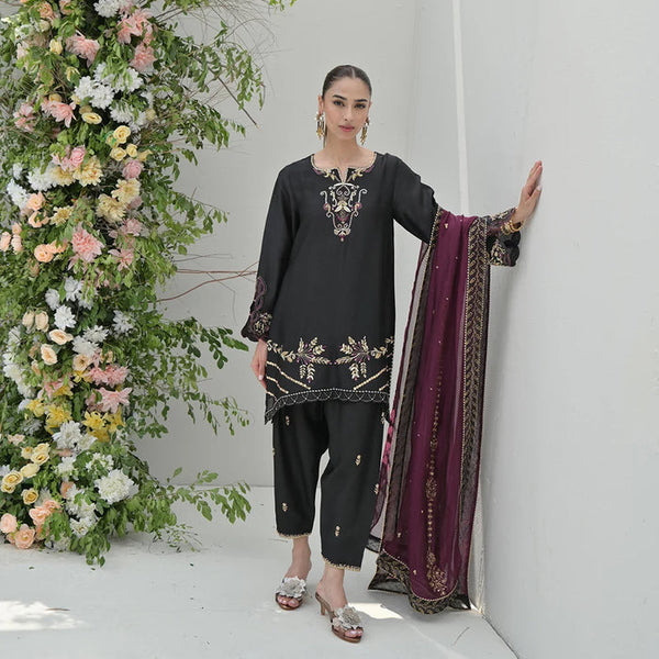 Occasion Wear '25 - RUVA FULL SET