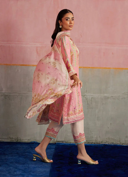 Mayna Festive Prints '25 - Vic Blush Shirt And Dupatta