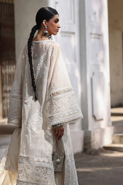 Ankh Macholi Festive '25 - Fida