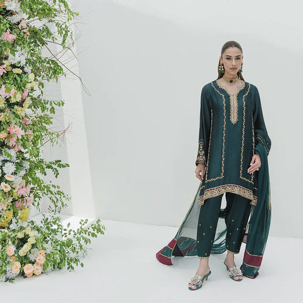 Occasion Wear '25 - ZIVA FULL SET