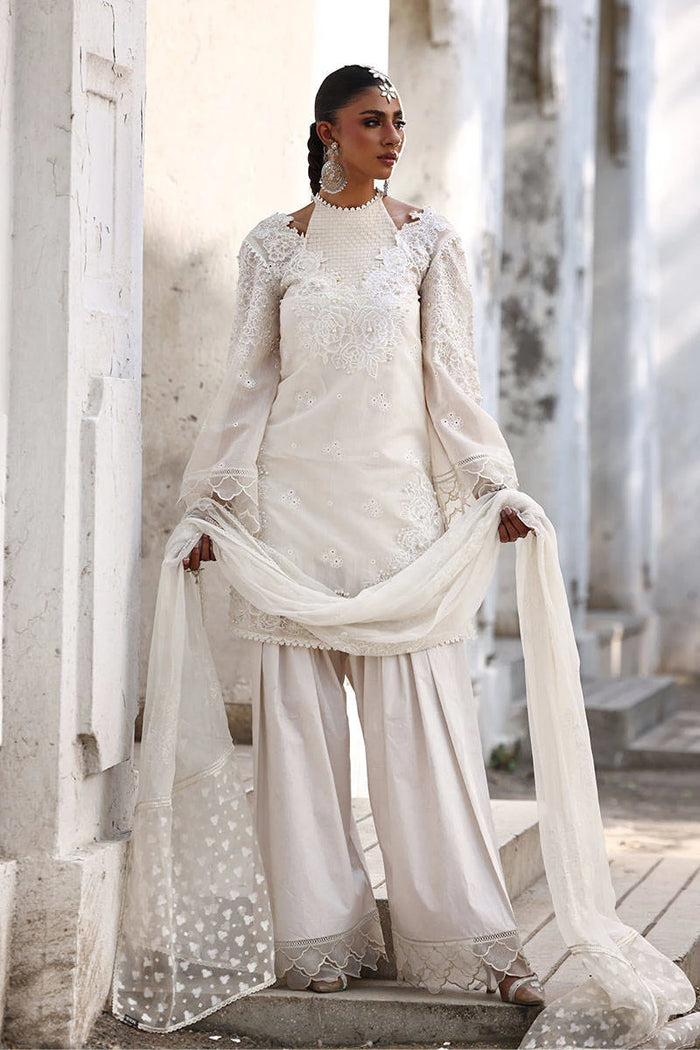 Ankh Macholi Festive '25 - Fanaa