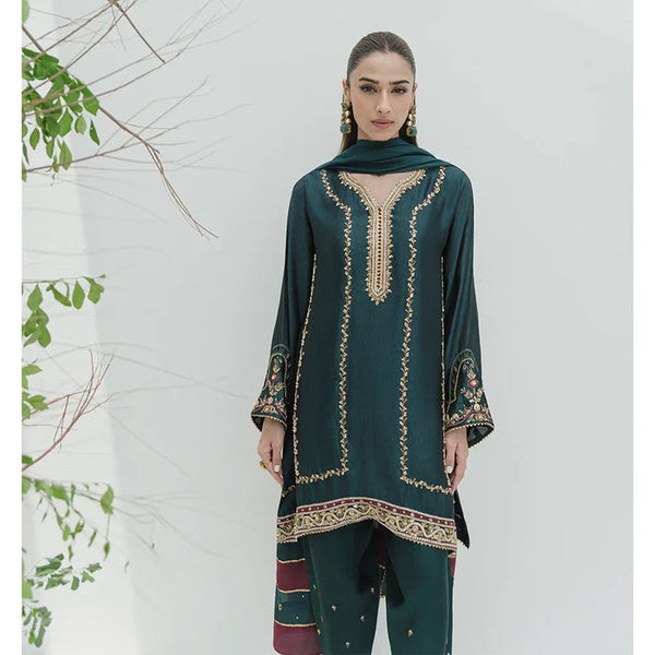 Occasion Wear '25 - ZIVA FULL SET