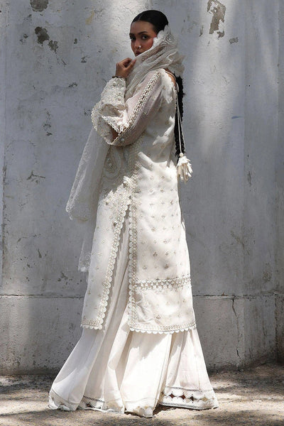 Ankh Macholi Festive '25 - Sitara