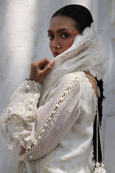 Ankh Macholi Festive '25 - Sitara