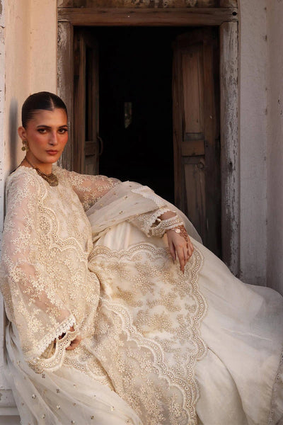 Ankh Macholi Festive '25 - Rua