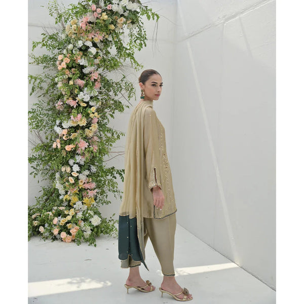 Occasion Wear '25 - AMIRA FULL SET