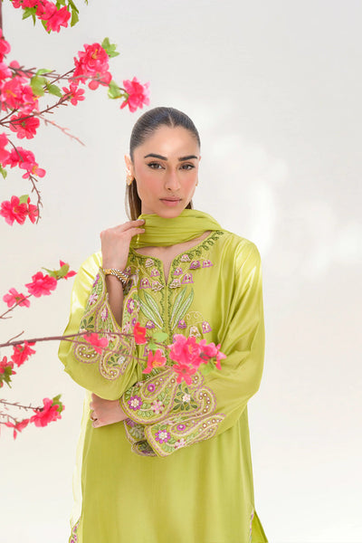 Stelle Eid Edit II'25- Avocado