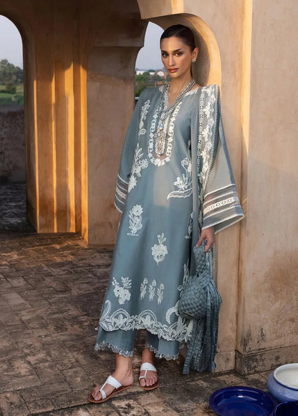 Mitti Winter '25 - Shabo