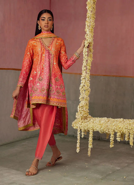Mayna Festive Prints '25 - Ananya Ombre Shirt And Dupatta