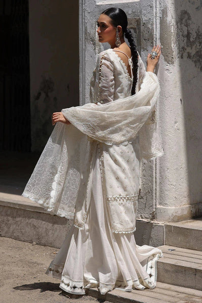 Ankh Macholi Festive '25 - Sitara