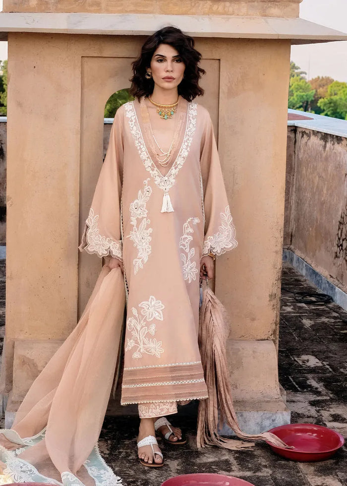 Mitti Winter '25 - Nawabi Notes - second image