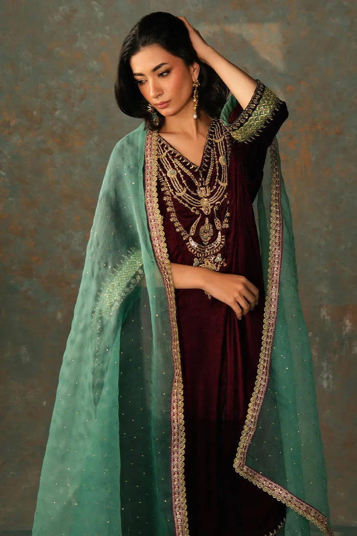 Velvet Eclipse '25 - Rani Phiran Shirt And Pants - second image