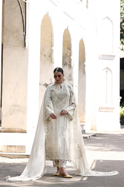 Ankh Macholi Festive '25 - Gulraiz