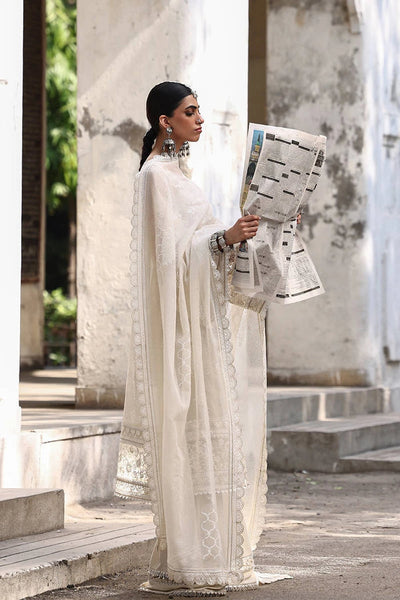 Ankh Macholi Festive '25 - Fida