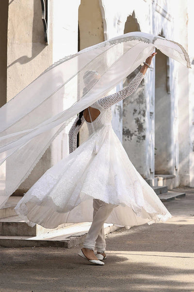 Ankh Macholi Festive '25 - Rumi